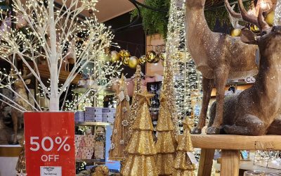 This Is What You’ve Been Waiting For!