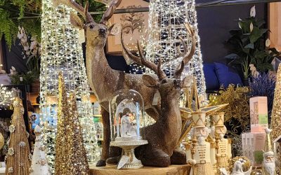 Christmas 2025 Has Arrived & It Looks Amazing!